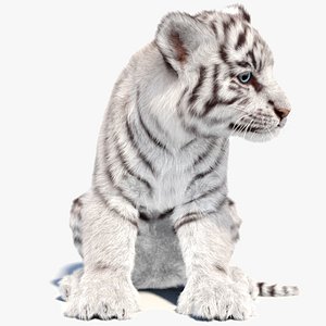 Rigged White Tiger Cub 3D Model Fur 3D