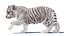 Rigged White Tiger Cub Fur