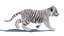Rigged White Tiger Cub Fur
