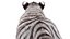 Rigged White Tiger Cub Fur