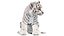 Rigged White Tiger Cub Fur