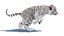 Rigged White Tiger Cub Fur