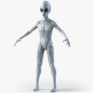 Grey Alien PBR 3D model