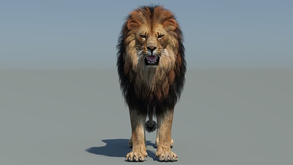ライオン2(多角形たてがみ)3Dモデル - TurboSquid 1377764 ライオン2(多角形たてがみ)3Dモデル - TurboSquid 1377764