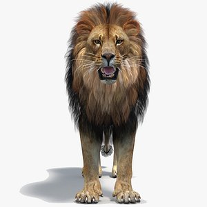 Lion Model Polygonal Mane