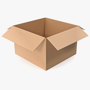 Cardboard box sealed with packing 08