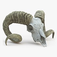 Old Ram Skull with Twisted Horns