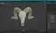 Old Ram Skull with Twisted Horns
