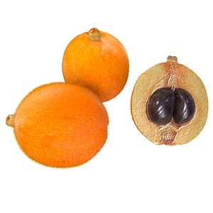 3D fruits model