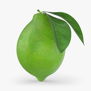 Whole Lime with Leaf
