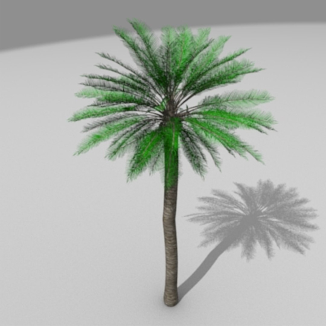 3d palm tree https://p.turbosquid.com/ts-thumb/sg/1YG9Q0/Mud764U4/palm/jpg/1157419966/1920x1080/fit_q87/784ea38aefd2404e8ad5955a28583bce11c1e8a0/palm.jpg
