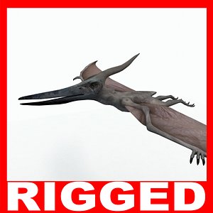 3d pteranodon dinosaur model