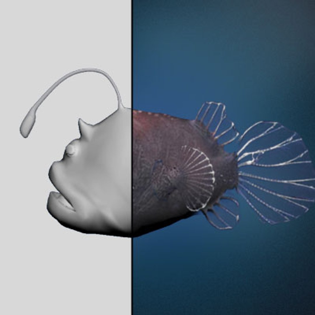 triplewart seadevil fish 3d model https://p.turbosquid.com/ts-thumb/sg/wOOPHh/aYP29h44/rend03/jpg/1118785103/1920x1080/fit_q87/874a06985dfd39fc982976eb37fe5ad4f937a944/rend03.jpg