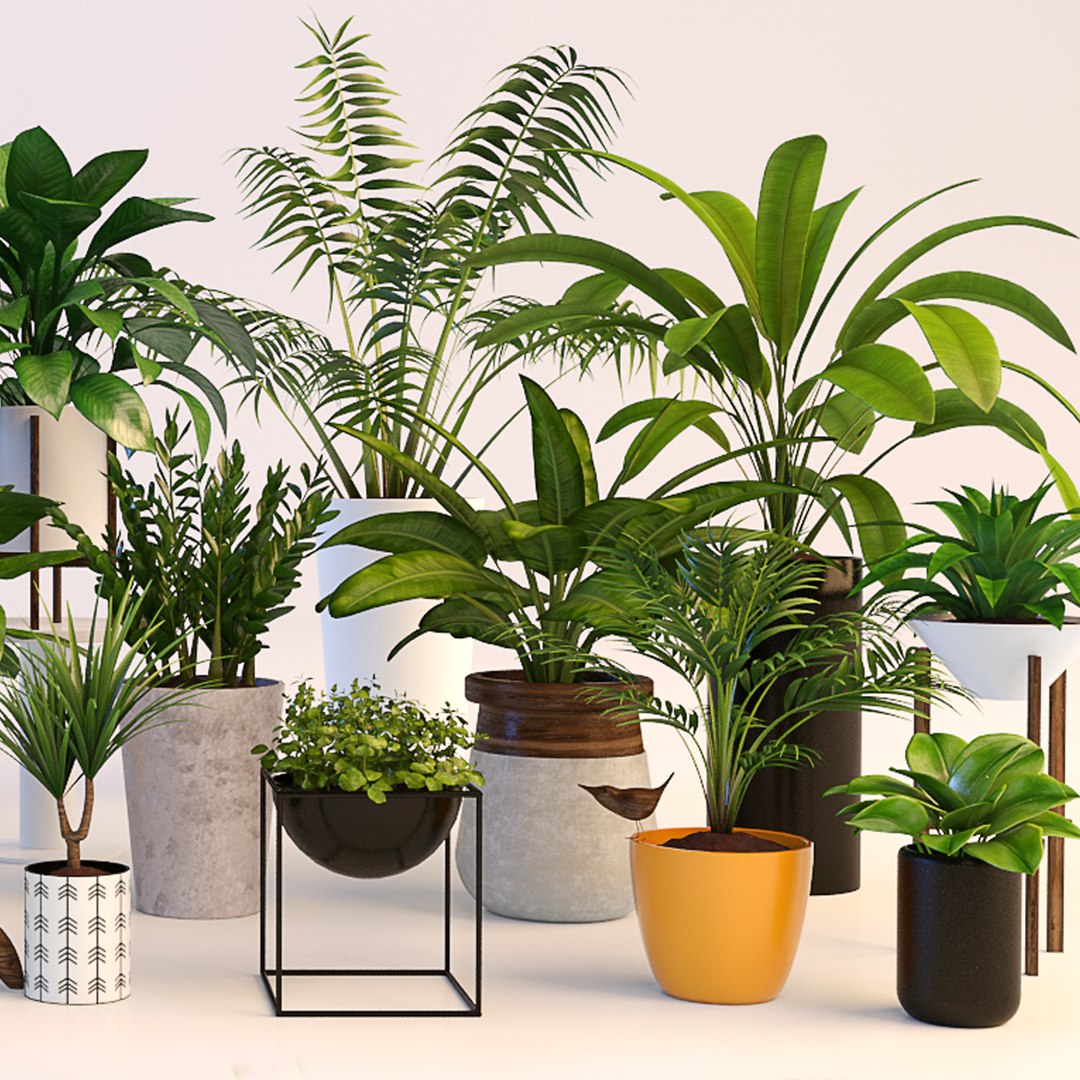 3d Model Plants