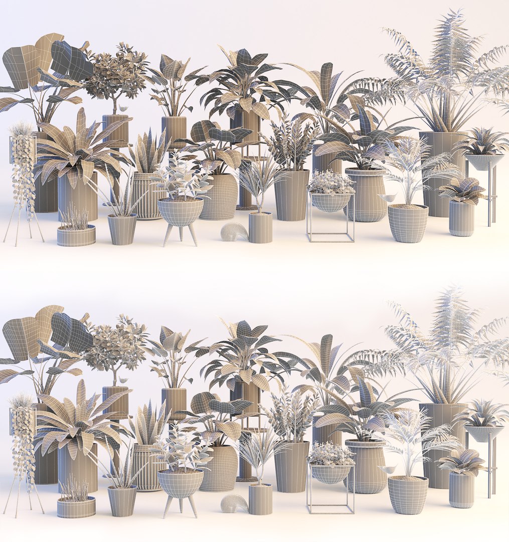 3d model plants https://p.turbosquid.com/ts-thumb/sh/0hIawd/Dj33n6Jc/711/jpg/1464208881/1920x1080/fit_q87/c7d4d186fd8cf99e774336366f66fe1fda4b3c85/711.jpg