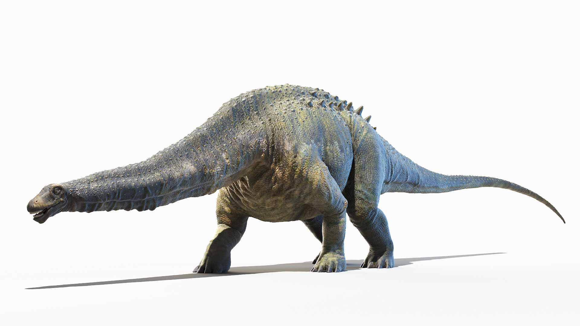 apollo apatosaurus