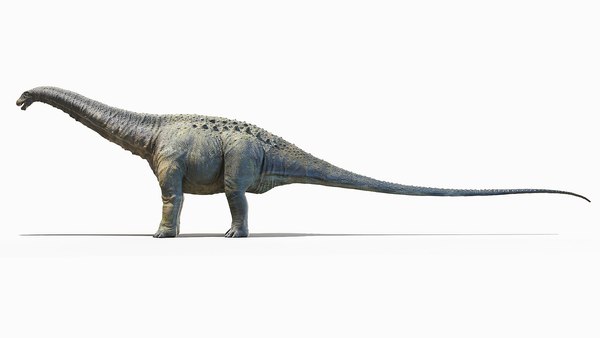 apatosaurus 3d view