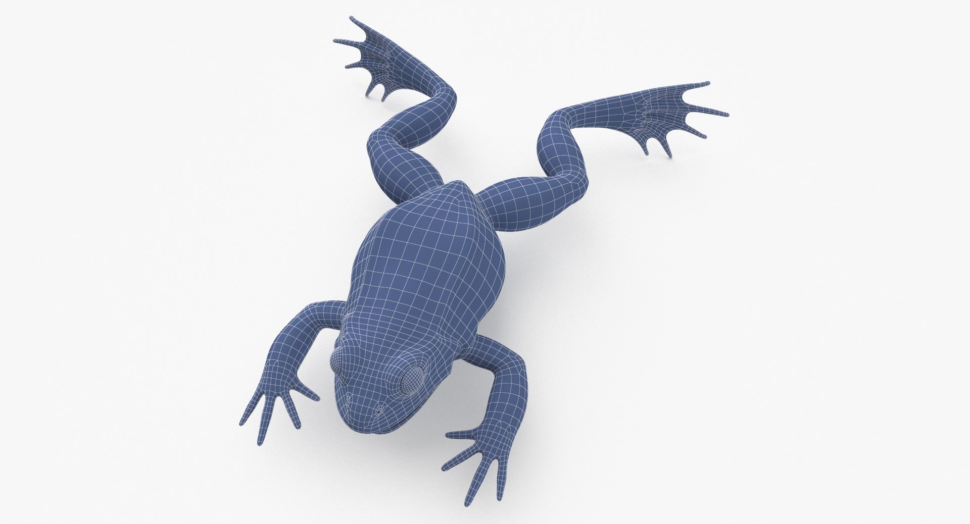 Frog A Pose 3D Model - TurboSquid 2074681