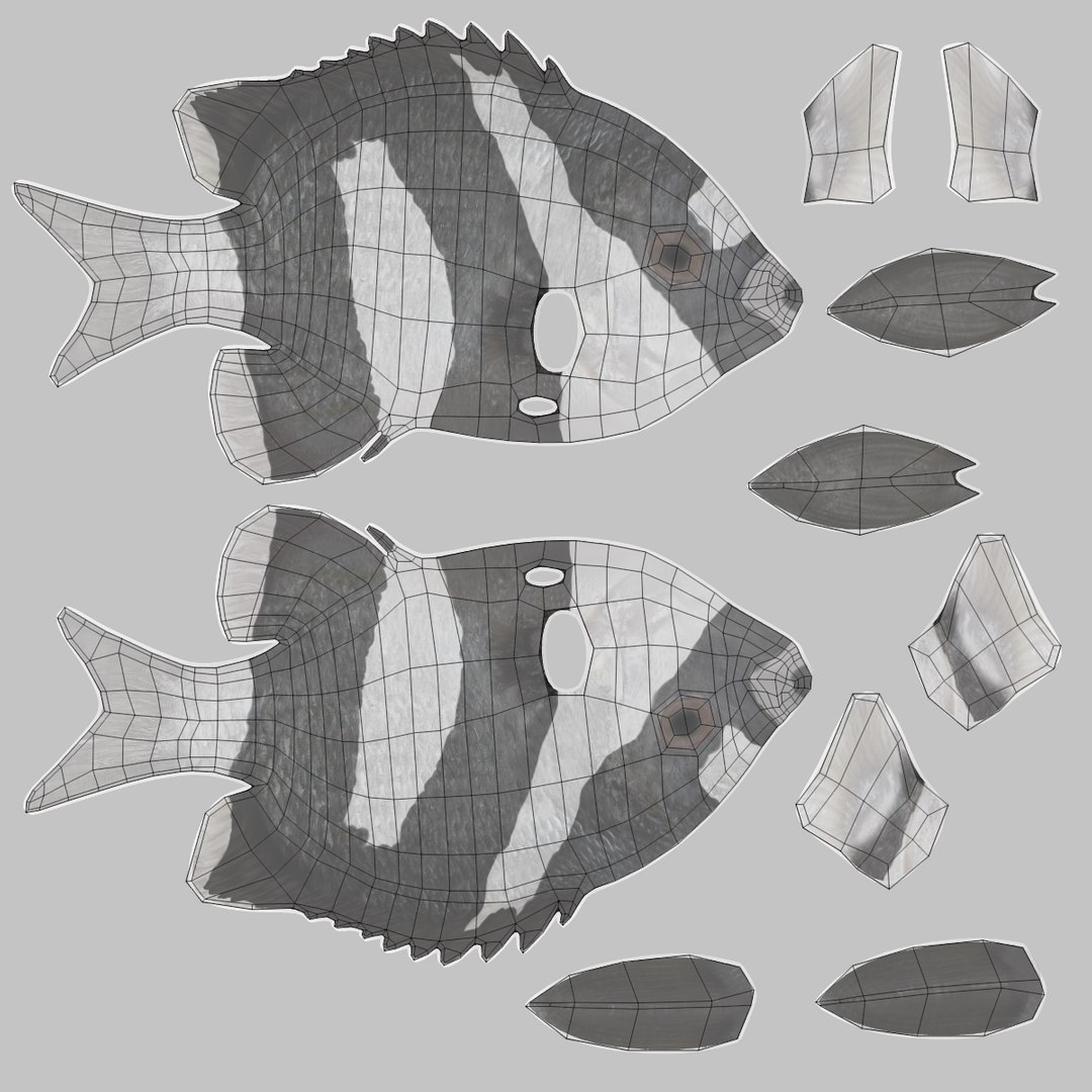 humbug damsel 3D model https://p.turbosquid.com/ts-thumb/sh/6ChIFj/oHPYDxfQ/humbugdamseluv/png/1516125506/1920x1080/fit_q87/733885e8db8fc6776a11677b57b7de83677ee38e/humbugdamseluv.jpg