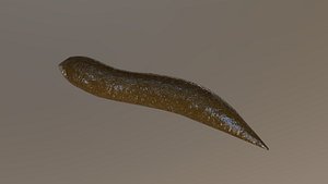 PBR - Poop "straight"