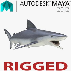 3d model smalltail shark rigged
