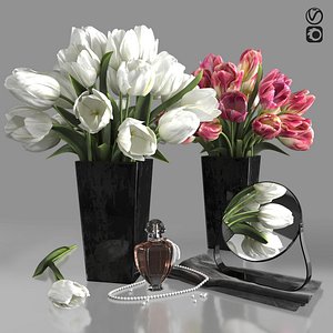 3D Bouquets of white and pink tulips model