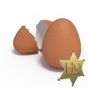 3d eggs chicken model