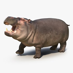3d max hippopotamus rigged fur