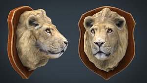 LION TROPHY