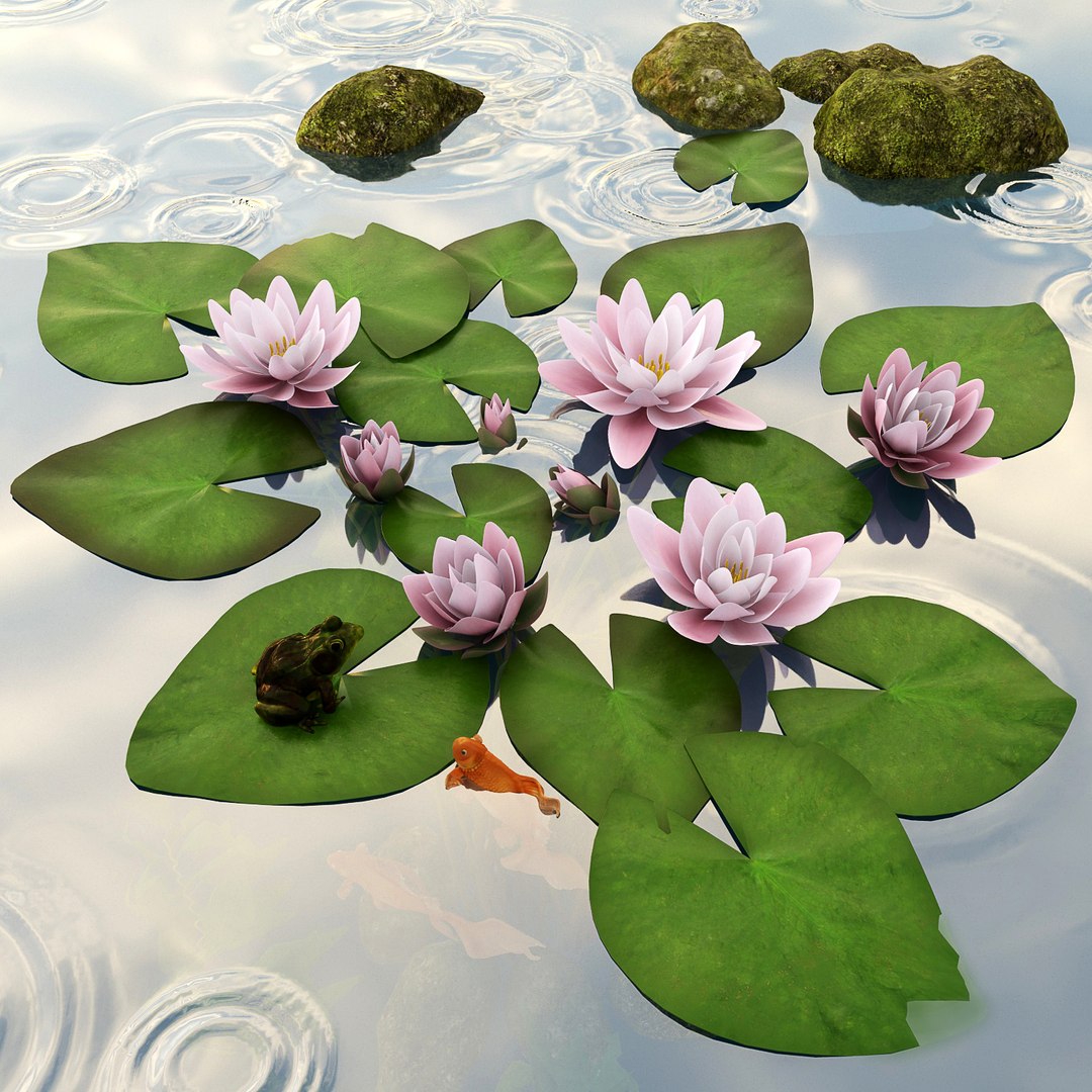 frog fish stones model https://p.turbosquid.com/ts-thumb/sh/JtsNXg/YmSIZspS/778/jpg/1548845046/1920x1080/fit_q87/6b87f8d8d247f4bad4844007746a7d6561626cf9/778.jpg