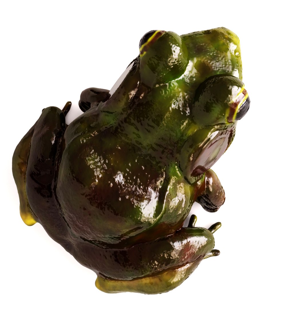 frog fish stones model https://p.turbosquid.com/ts-thumb/sh/JtsNXg/nBx1rMlJ/frog78/jpg/1548845112/1920x1080/fit_q87/ea03dfaba9888ab9970aae27fc0e5a6fa762f7ce/frog78.jpg