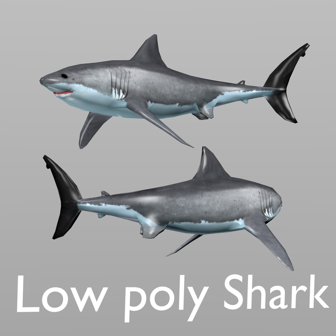 UNCOVER SHARK 3Dモデル signatureimage.jpg