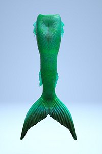 mermaid tail 3D model