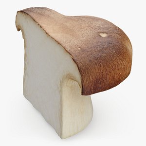 King Trumpet Cut 3D model