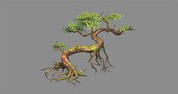 Curved vines - Swamp trees - jungle roots - pine