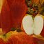 Apples