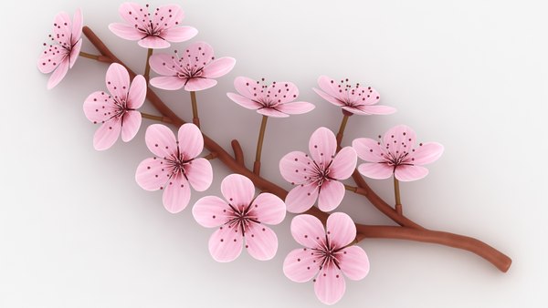 ⭐️All Cherry Blossoms⭐️新品5枚set⭐️婦人画報別注桜