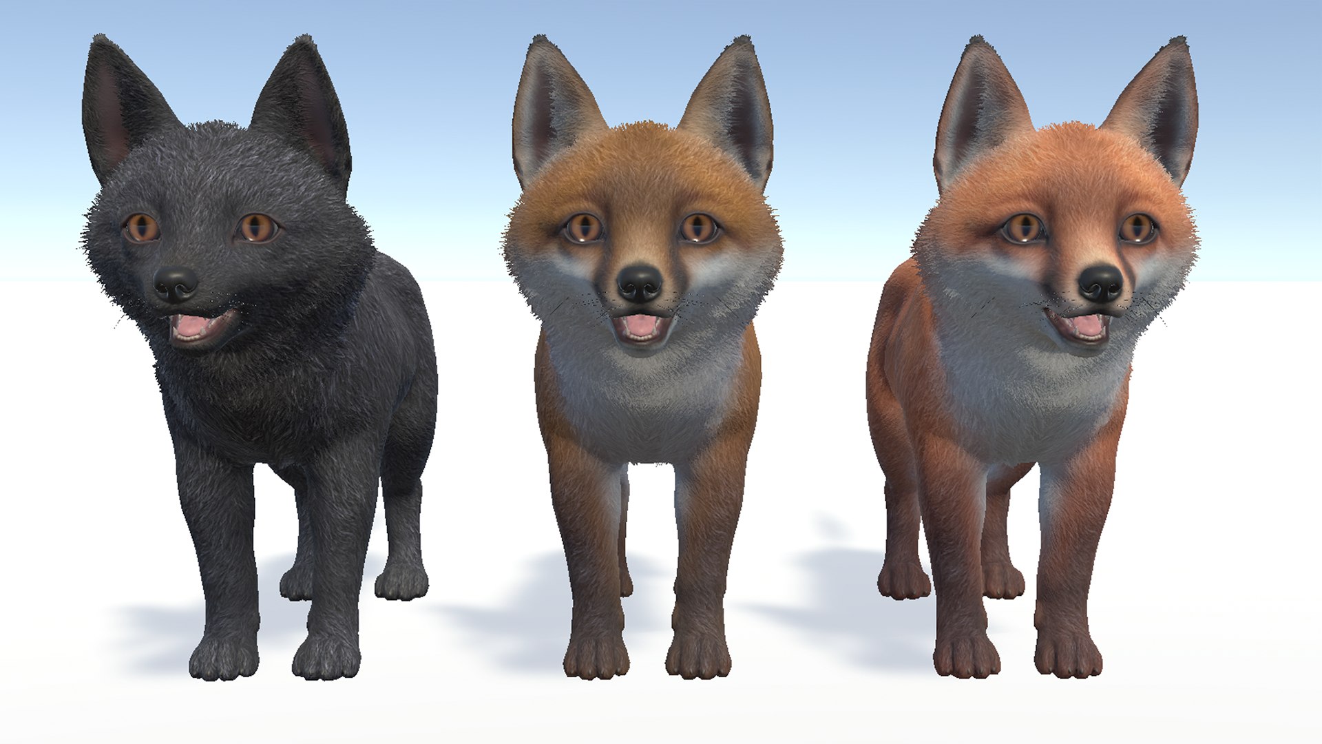 Fox - Family Model - TurboSquid 2111058