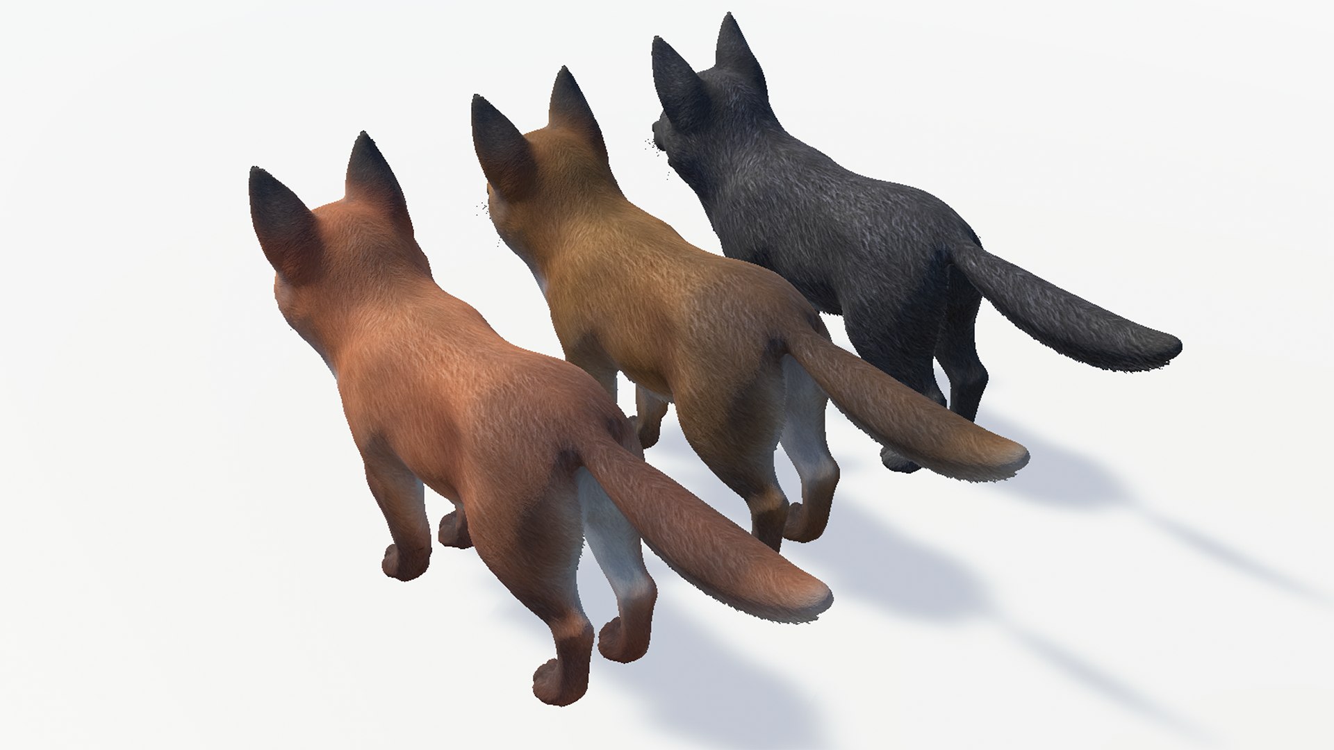 Fox - Family Model - TurboSquid 2111058