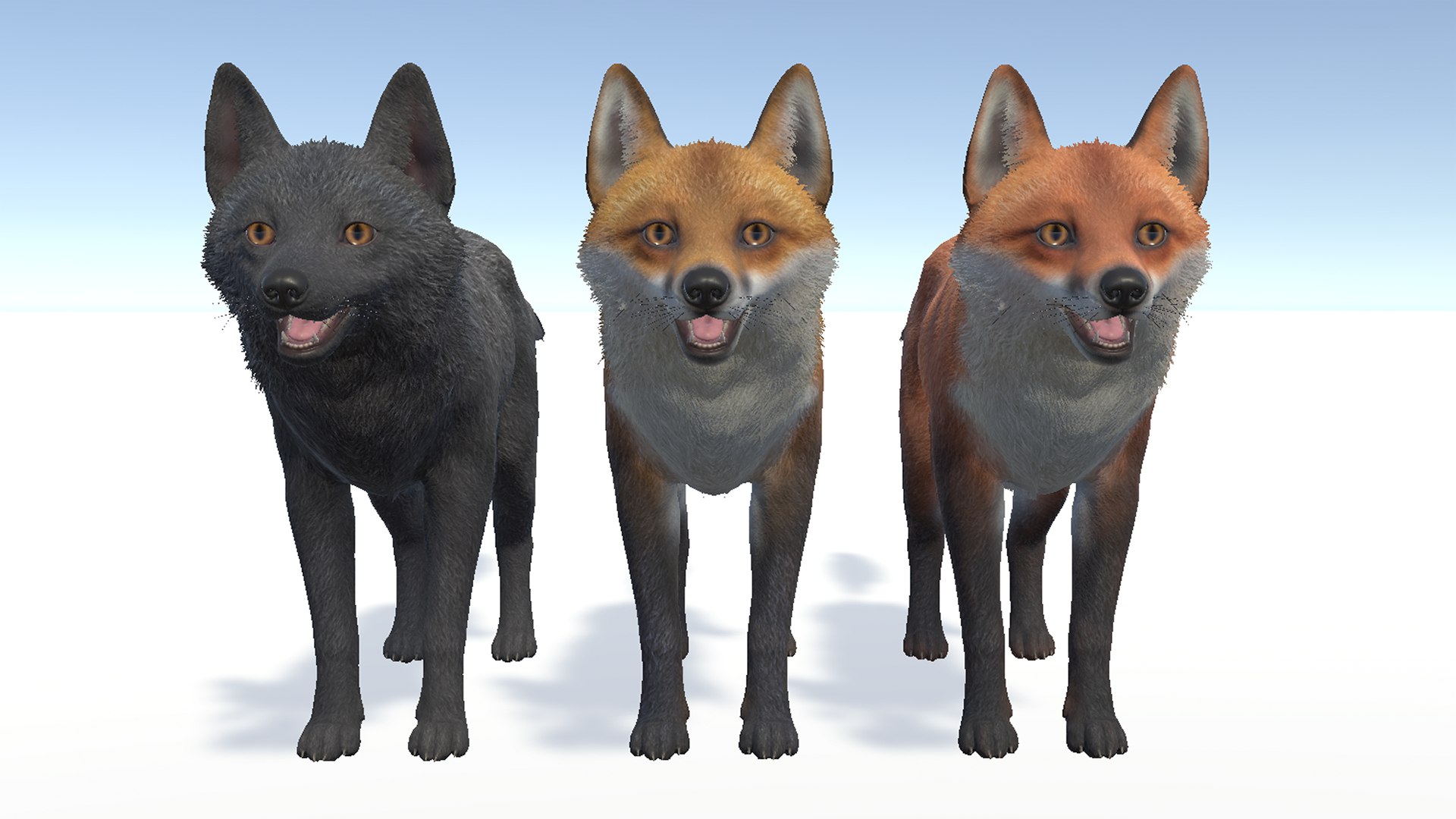 Fox - Family Model - TurboSquid 2111058