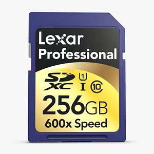 SD Card 256 GB