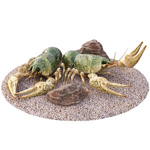 Crawfishes