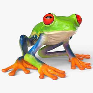 Idle Red Eyed Tree Frog Animated Rigged for Blender 3D model