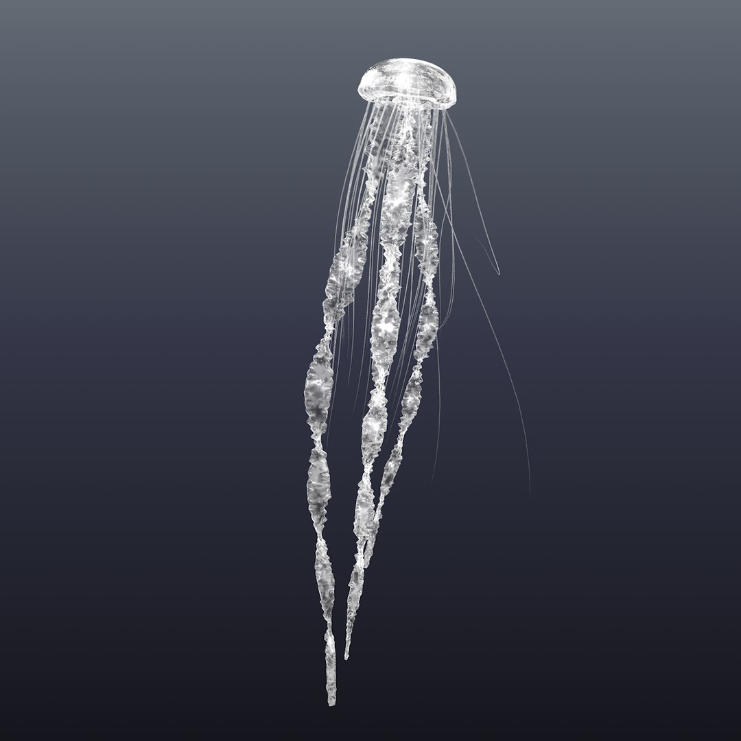 Realistic jellyfish 3D model - TurboSquid 1453720