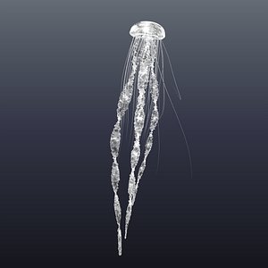 Jellyfish white
