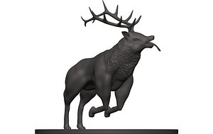3D Elk
