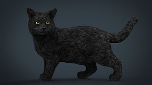 cat 3D model