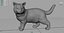 cat 3D model