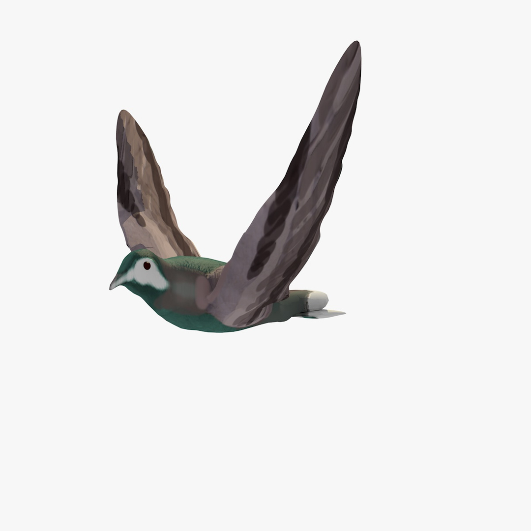 3d model single flying pigeon animation https://p.turbosquid.com/ts-thumb/si/chh6hc/36OThPEg/singlepigeonflyinganimation1/jpg/1455114050/1920x1080/turn_fit_q99/96d7ee18bca4f9906e1078e926f948d20b89bca9/singlepigeonflyinganimation1-1.jpg