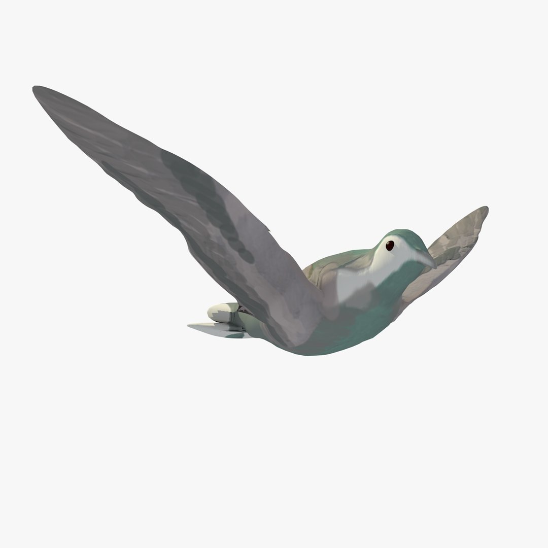 3d model single flying pigeon animation https://p.turbosquid.com/ts-thumb/si/chh6hc/OquQ8WU5/singlepigeonflying6/jpg/1455113759/1920x1080/fit_q87/403f1b4c90519b39b155f19e5d8e26e5f98e57c0/singlepigeonflying6.jpg